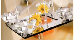 sp primula 4. ������ � �������